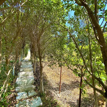 Ramo's Cozy Beachside Haven With Panoramic Views - 3rd *