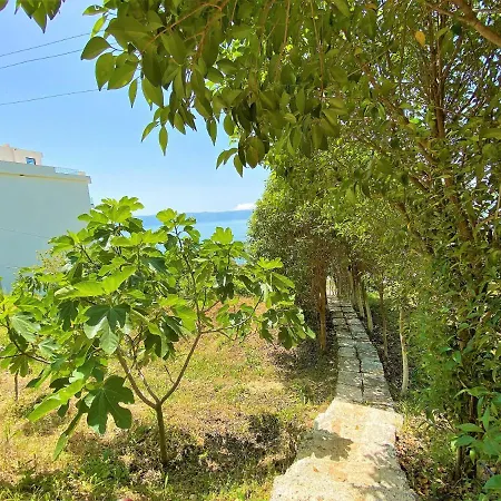 Ramo's Cozy Beachside Haven With Panoramic Views - 3rd